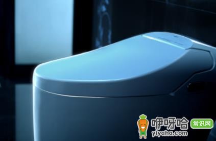 马桶盖长黑霉怎么去除?3种简单实用方法轻松解决