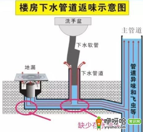 卫生间除臭用什么最好?5大热门好物推荐