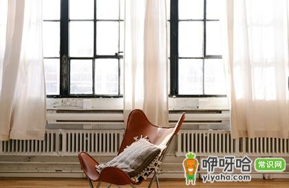 纱窗喷什么能驱虫？5种有效驱虫喷雾推荐