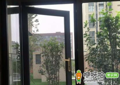 纱窗喷什么能驱虫?5种有效驱虫喷雾推荐