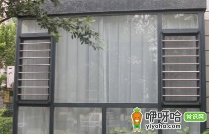 纱窗喷什么能驱虫?5种有效驱虫喷雾推荐