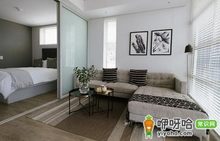 84消毒液除墙发霉的3个简单有效方法