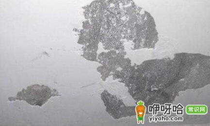 墙上腻子为什么会掉？6大常见原因揭秘