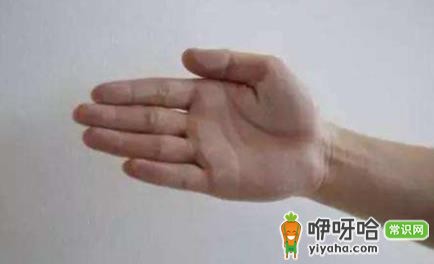 腻子粉刮好后掉粉怎么办？3招轻松解决