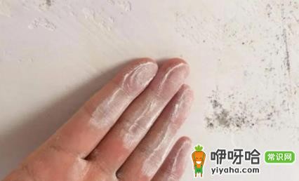 腻子粉刮好后掉粉怎么办?3招轻松解决
