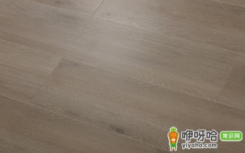 地板夏天鼓包冬天能回去吗？3点告诉你答案