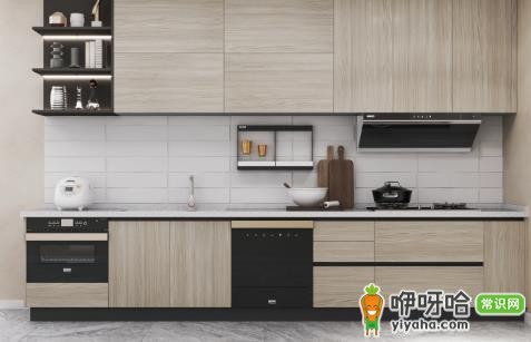 厨房水槽下柜子烂了会生虫吗？3大原因解析