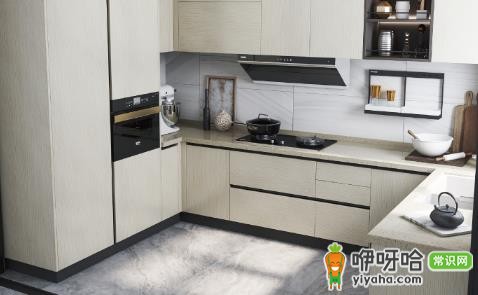 厨房水槽下柜子烂了会生虫吗?3大原因解析