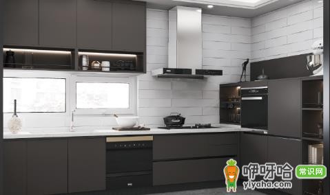 厨房水槽下柜子烂了会生虫吗?3大原因解析