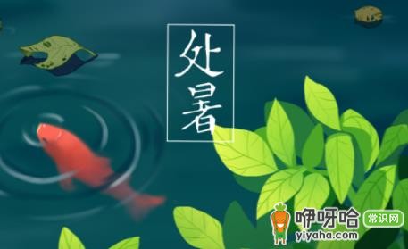 2022处暑结婚好不好？3大忌讳要避开