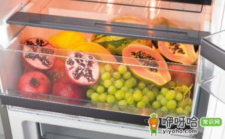 冰箱冷藏室多少度合适?推荐最佳温度范围2-5℃
