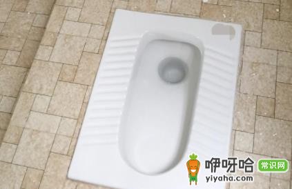 蹲便器前面的孔有啥用？3大关键作用揭秘