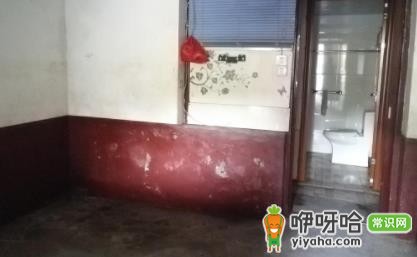 老房子有味道怎么处理?5个简单有效除味方法