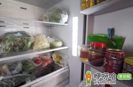 冰箱插电跳闸:5个常见原因及快速解决方法