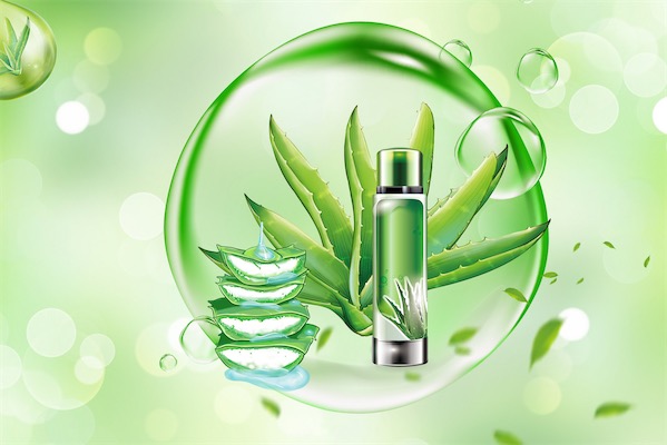 芦荟祛痘的正确用法是什么？
