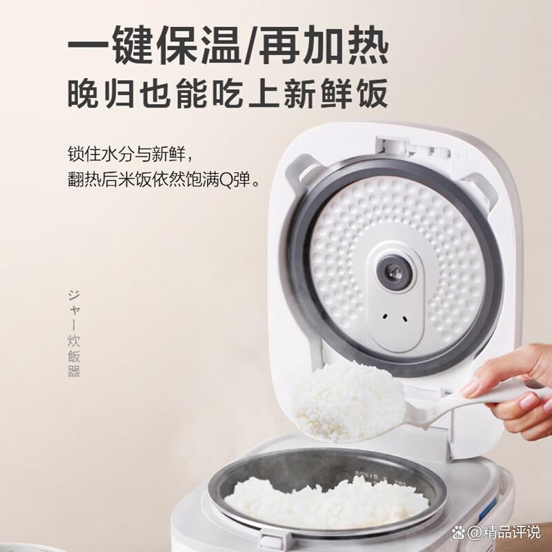 东芝电饭煲哪款性价比更高些？购买要点分析技巧