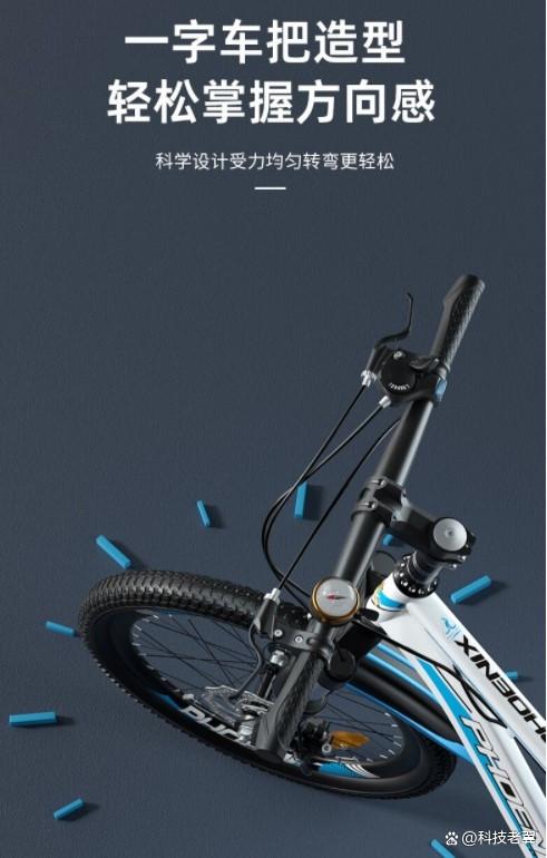 凤凰自行车哪个系列好，如何选择最适合你的骑行伙伴