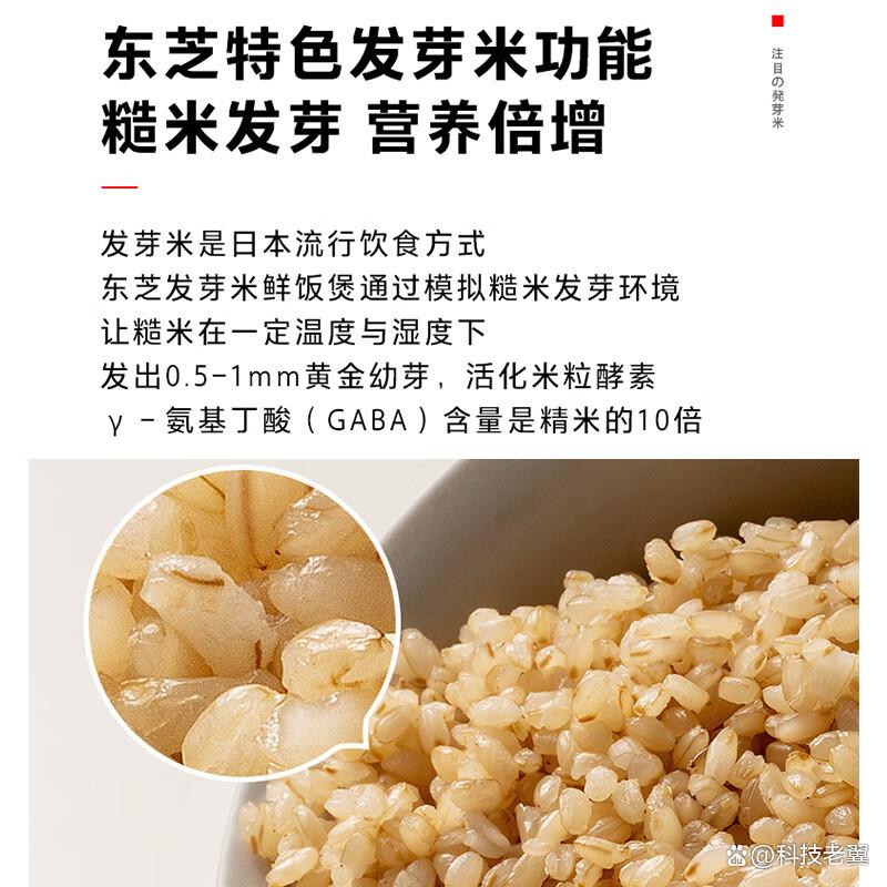 东芝电饭煲哪个系列值得买？探索高性价比的选择