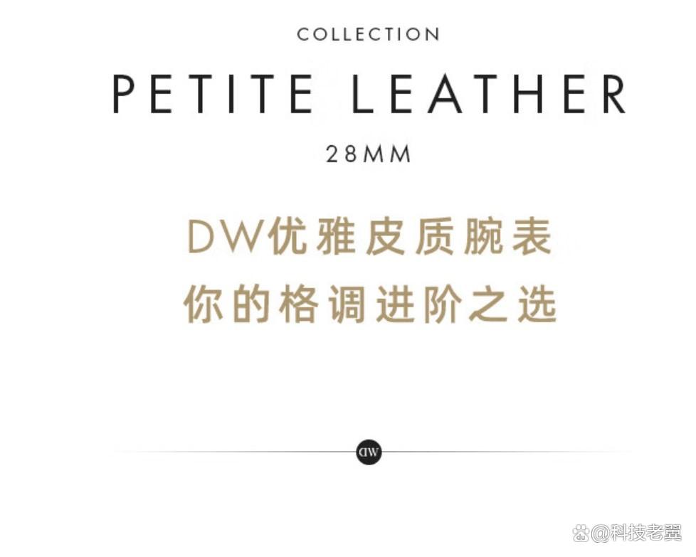 哪个牌子欧美表质量好又安全，精选知名品牌与独特设计