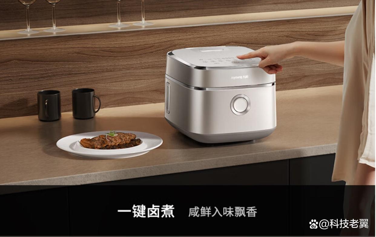 电饭煲品牌排名前10名，选购技能与适用指南