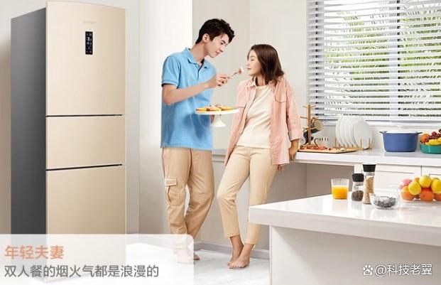 冰箱品牌排名前十名，权威评测与用户口碑深度解析