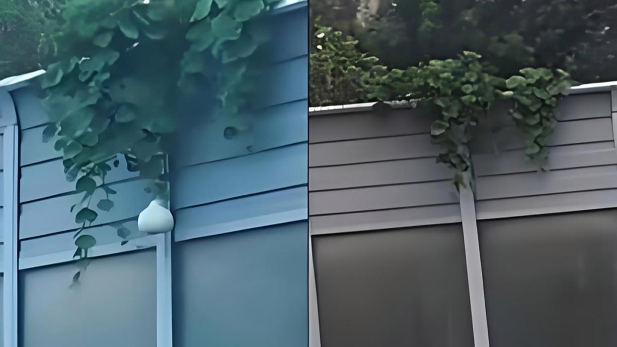 沈阳“高架网红葫芦”被摘