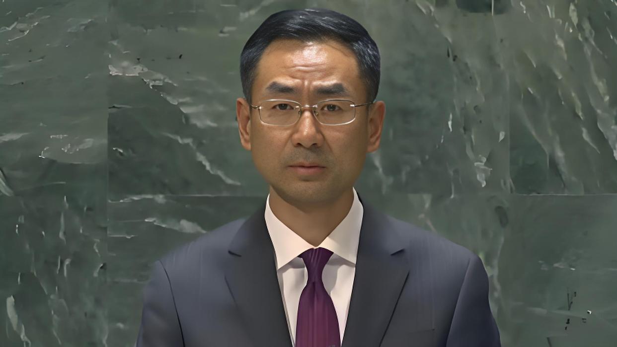 中方：某常任理事国一意孤行令人失望