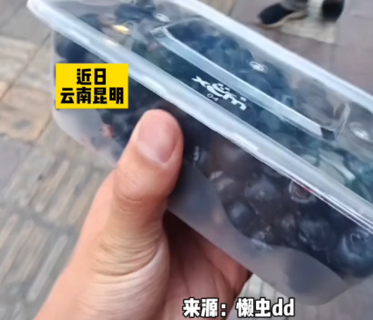 昆明蓝莓12元1盒震撼外地游客：价格太便宜
