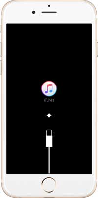 如何在iPad或iPhone上进入和退出恢复模式？