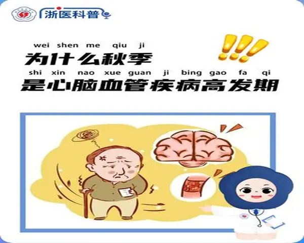 DM_20251023112000_001.webp
