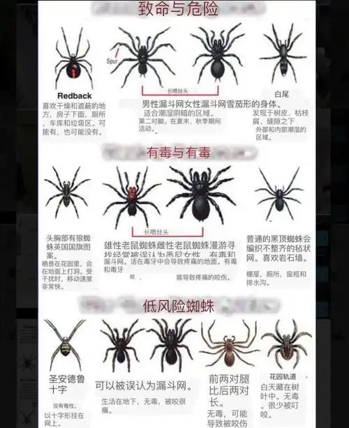 如何判断百度蜘蛛？百度搜索引擎蜘蛛IP段分析