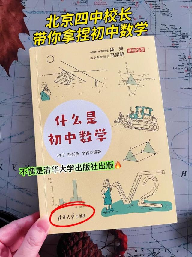 初中生如何学好数学的书有哪些？