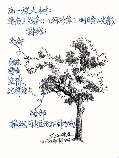 如何绘制初中数学中的树状图？