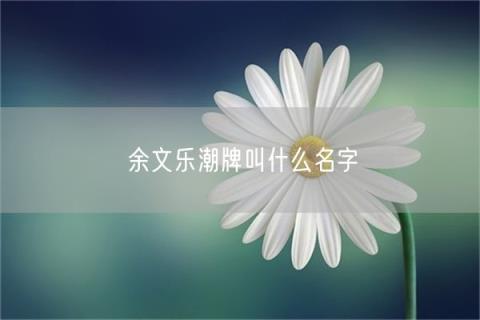 余文樂潮牌叫什么名字