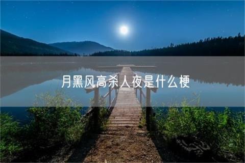 月黑風(fēng)高殺人夜是什么梗