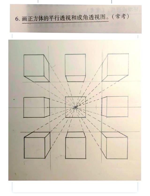 小學數(shù)學如何學習透視法？入門指南與步驟解析