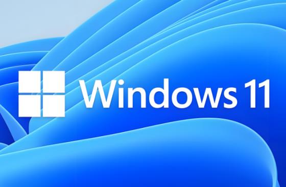 Win11/Win10关闭自动更新系统方法,一键关闭Windows自动更新