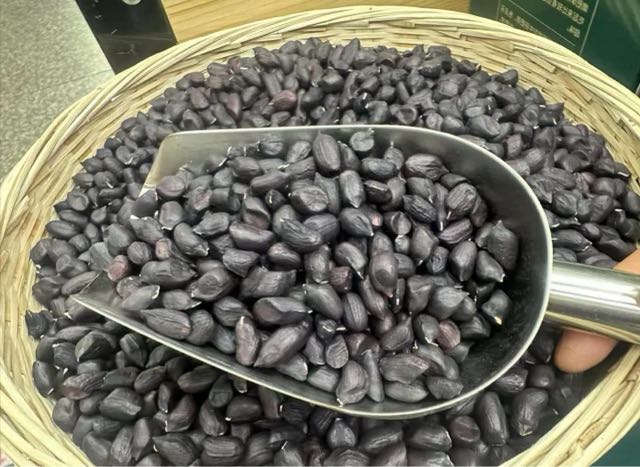 黑花生是什么?黑花生是转基因吗?