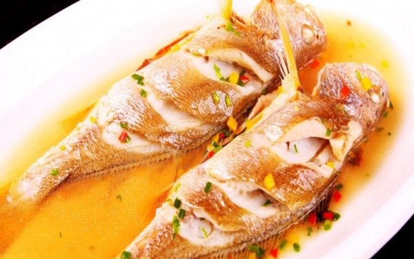 什么是黄唇鱼呢 黄唇鱼有什么作用呢