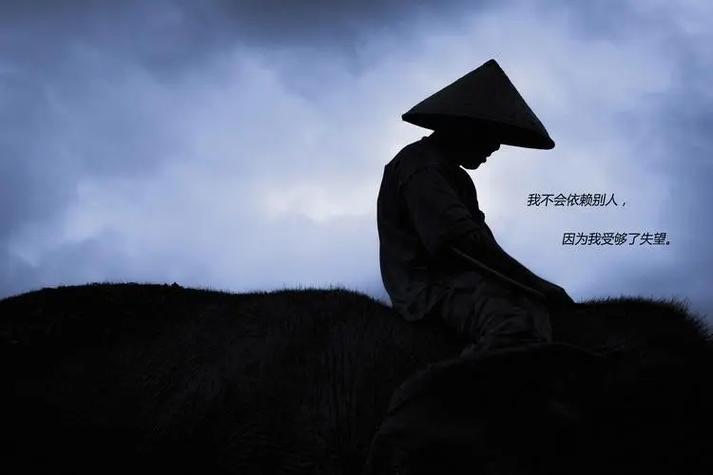 失望的句子、描写失望的句子