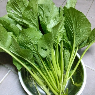 青青菜是什么野菜?青青菜的功效与作用