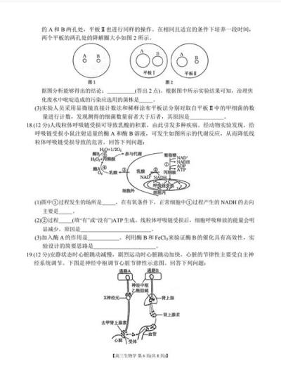 高中数学生物常见题型有哪些？如何分类及应对？