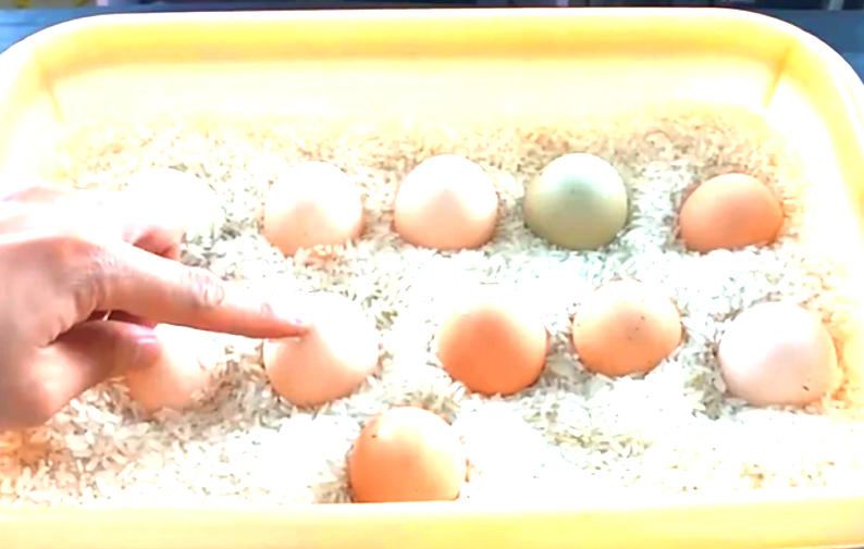 保存鸡蛋切记不要放冰箱 牢记这几点，轻松保存鸡蛋